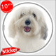 Coton de Tuléar blanc, sticker autocollant rond "photo" 15 cm intérieur/Extérieur, adhésif vitre