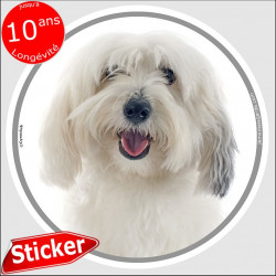 Coton de Tuléar, sticker autocollant rond "photo" 15 cm intérieur/Extérieur