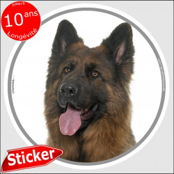 Berger Allemand, disque autocollant "photo" 15 cm