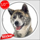 Akita Inu Japonais bringé, sticker autocollant rond "photo" 15 cm intérieur/Extérieur adhésif