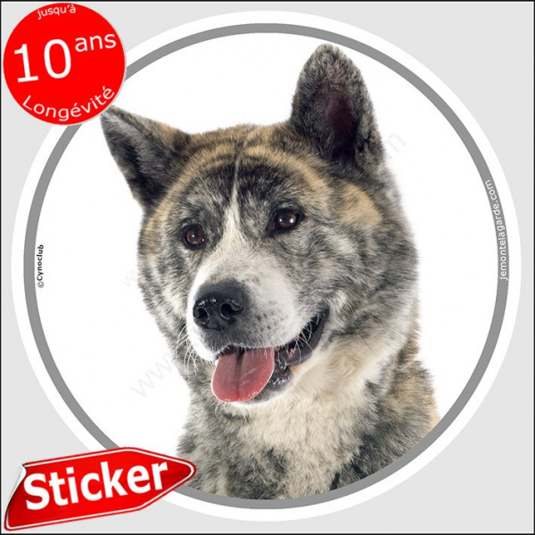 Akita Inu Japonais bringé, sticker autocollant rond "photo" 15 cm intérieur/Extérieur adhésif