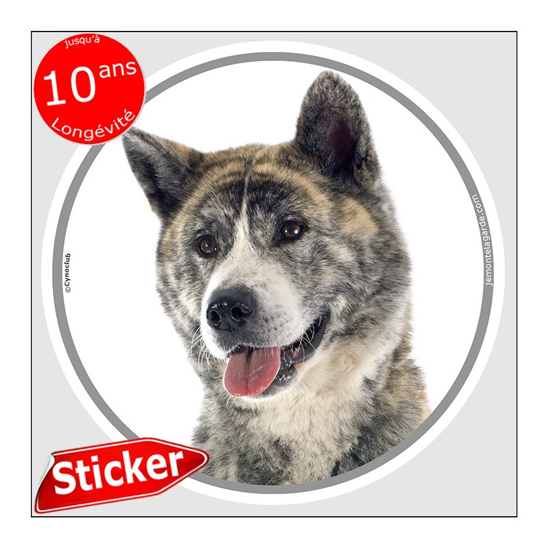Akita Inu Japonais bringé, sticker autocollant rond "photo" résiste dehors, idée cadeau, fabriqué en France