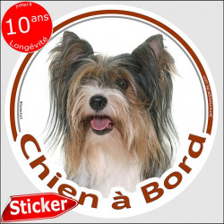 Yorkshire Biewer Tête, sticker autocollant rond "Chien à Bord" Disque photo adhésif vitre voiture