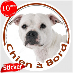 Staffie blanc, sticker autocollant rond "Chien à Bord", adhésif voiture Staffordshire Bull Terrier Staffy adhésif photo chien