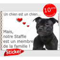 Staffie noir Tête, sticker autocollant "Love" 16 cm