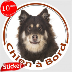 Sticker autocollant rond "Chien à Bord" 15 cm, Chien Finnois de Laponie marron et feu, lapinroïka voiture chocolat foie