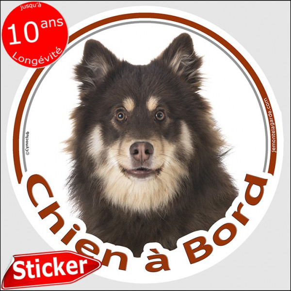 Chien Finnois de Laponie marron et feu, sticker autocollant rond "Chien à Bord" Disque photo lapinroïka voiture chocolat foie, r