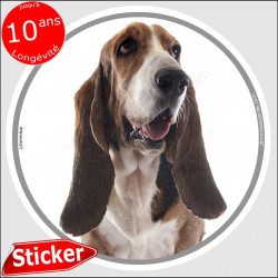 Basset Hound, sticker autocollant rond "photo" 15 cm intérieur/Extérieur