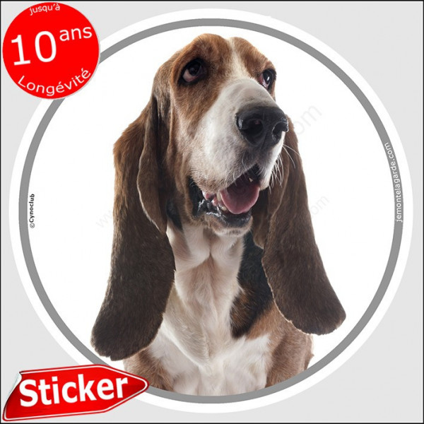 Basset Hound, sticker autocollant rond "photo" 15 cm intérieur/Extérieur adhésif résistant intempéries