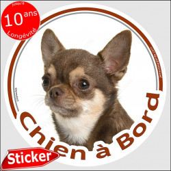 Chihuahua Marron et beige poils courts, sticker autocollant rond "Chien à Bord" disque photo adhésif voiture auto