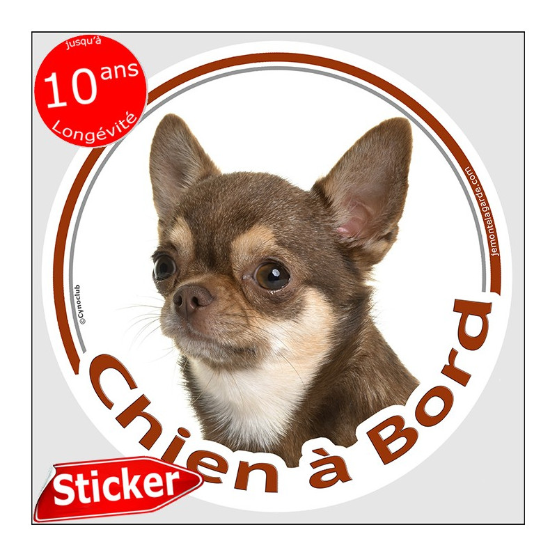 Chihuahua Marron et beige poils courts, sticker autocollant rond "Chien à Bord" disque photo adhésif voiture auto Chihuahua Marron et beige poils courts, sticker autocollant rond "Chien à Bord" disque photo adhésif voiture auto