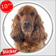 Cocker Anglais Spaniel Golden, sticker autocollant rond "photo" 15 cm intérieur/Extérieur adhésif chien roux marron résistant in