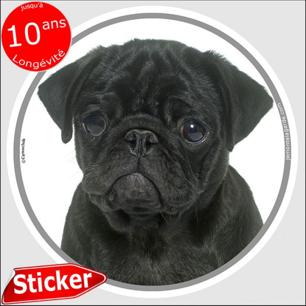 Carlin noir, sticker autocollant rond "photo" 15 cm intérieur/Extérieur adhésif résistant intempéries pug mop