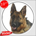 Berger Allemand, sticker autocollant rond "photo" 15 cm intérieur/Extérieur