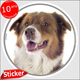 Berger Australien tricolore rouge, sticker autocollant rond "photo" résiste pluie soleil gel, idée cadeau