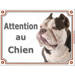 Plaque portail Attention au Chien, American Bully marron et blanc Tête pancarte panneau oreilles coupées