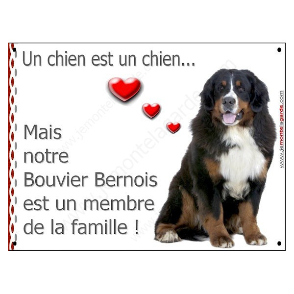 Bouvier Bernois Assis, Plaque Portail un chien est un chien, membre de la famille, pancarte, affiche panneau