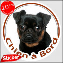 Brabançon, sticker voiture "Chien à Bord" 15 cm