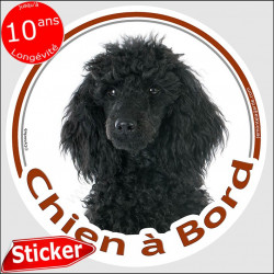 Caniche Noir, sticker "Chien à Bord" 15 cm