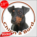 Manchester Terrier, sticker "Chien à Bord" 15 cm voiture
