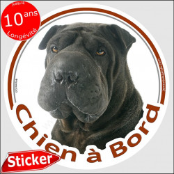 Shar-Peï noir, sticker "Chien à Bord" 15 cm