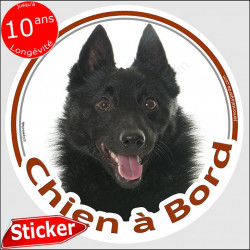 Shipperke Tête, sticker autocollant rond "Chien à Bord" Disque adhésif vitre voiture photo