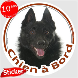 Shipperke Tête, sticker autocollant rond "Chien à Bord" Disque adhésif vitre voiture photo, résiste pluie soleil gel, idée cadea