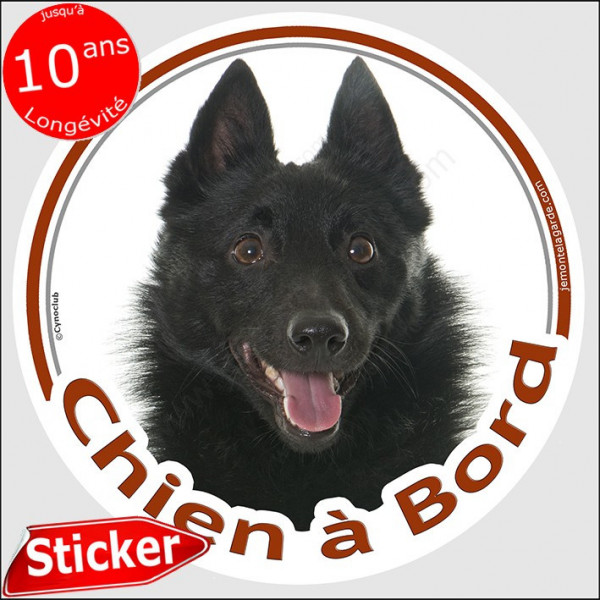 Shipperke Tête, sticker autocollant rond "Chien à Bord" Disque adhésif vitre voiture photo