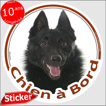 Shipperke Tête, sticker autocollant rond "Chien à Bord" Disque adhésif vitre voiture photo, résiste pluie soleil gel, idée cadea