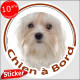 Sticker rond "Chien à Bord" 15 cm, Bichon Maltais Tête, autocollant vitre voiture adhésif photo