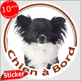 Chihuahua noir et blanc poils longs, disque photo autocollant "Chien à Bord" Sticker adhésif rond vitre voiture, résiste pluie s