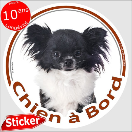 Chihuahua noir et blanc poils longs, disque photo autocollant "Chien à Bord" Sticker adhésif rond vitre voiture, résiste pluie s