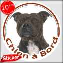 Staffie bringé, sticker voiture "Chien à Bord" 15 cm