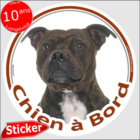 Staffie bringé Tête, sticker rond "Chien à Bord" Disque autocollant voiture Staffy, adhésif auto photo, résiste pluie soleil gel