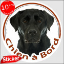 Labrador noir, sticker "Chien à Bord" 15 cm