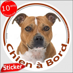 Staffie fauve marron Tête, sticker rond "Chien à Bord" Disque autocollant voiture staffy adhésif photo