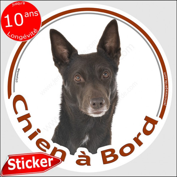 Kelpie Australien, sticker autocollant rond "Chien à Bord" 15 cm, adhésif photo chien voiture