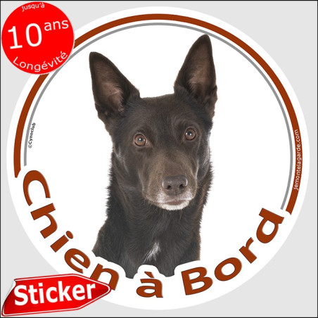 Kelpie Australien, sticker autocollant rond "Chien à Bord" disque, adhésif photo chien voiture, résiste dehors