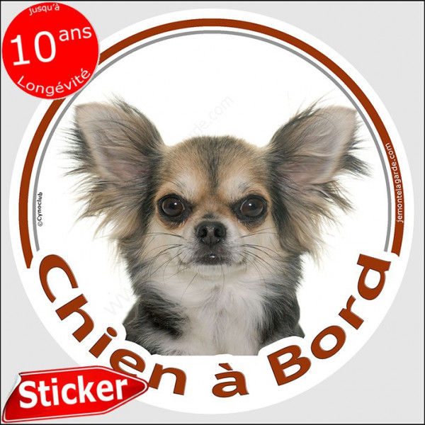 Chihuahua tricolore poils longs, sticker autocollant rond "Chien à Bord" 15 cm, adhésif Chiwawa 3 couleurs photo