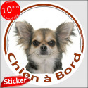 Chihuahua, disque autocollant "Chien à Bord" 15 cm