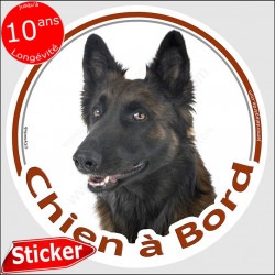 Tervuren, sticker voiture "Chien à Bord" 15 cm