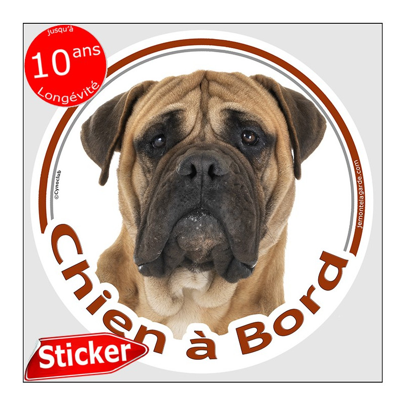 Bullmastiff fauve, sticker autocollant rond "Chien à Bord" 15 cm, adhésif voiture Bull Mastif marron beige photo