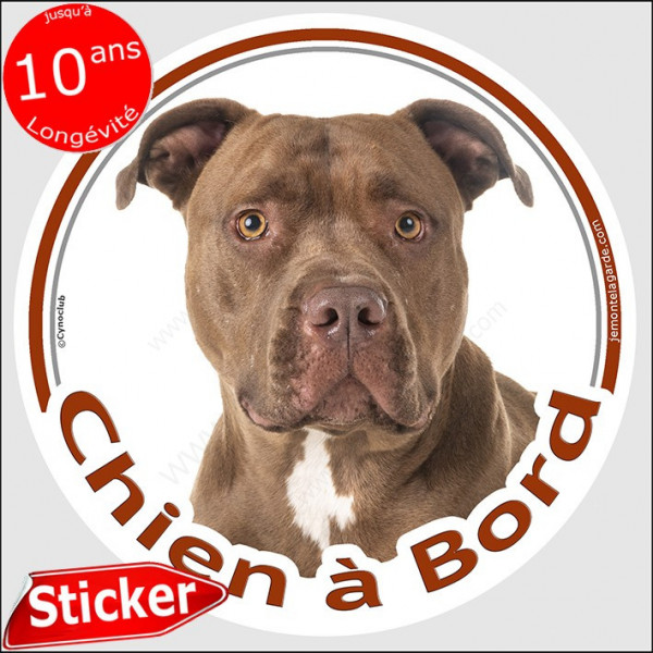 Pit-Bull, sticker autocollant rond "Chien à Bord" Disque adhésif voiture photo