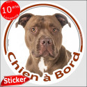 Pit-Bull, sticker voiture "Chien à Bord" 15 cm