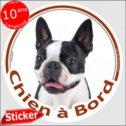 Boston Terrier, sticker autocollant rond "Chien à Bord" 15 cm, adhésif voiture photo