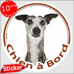 Lévrier Whippet bringé, sticker autocollant rond "Chien à Bord" Disque adhésif voiture photo