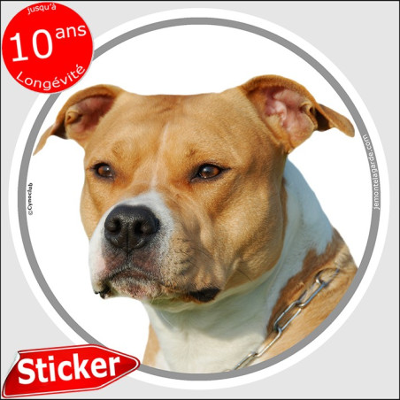 Amstaff fauve, disque autocollant "photo" résiste pluie soleil gel, idée cadeau, 2 Tailles D