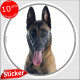 Berger Belge Malinois Tête, sticker autocollant rond "photo" Disque intérieur ou Extérieur, adhésif