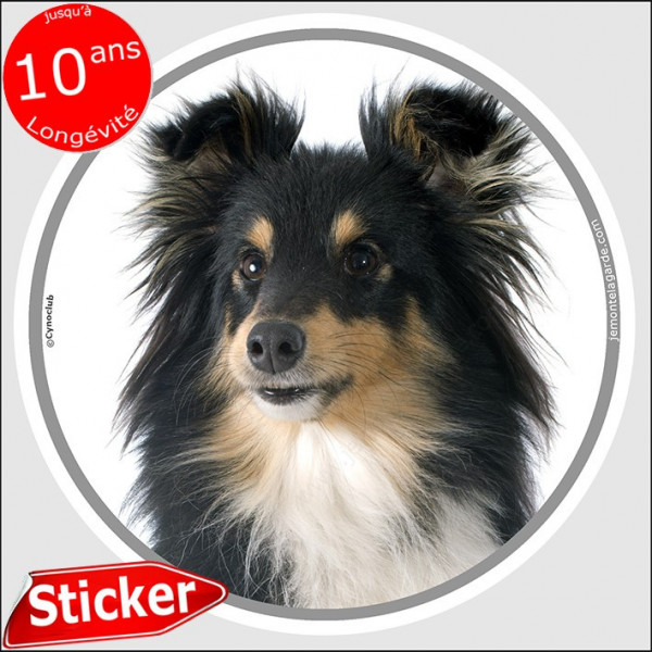 Berger Shetland tricolore, sticker autocollant rond "photo" Disque intérieur ou Extérieur, sheltie noir et feu adhésif