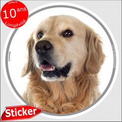 Golden Retriever Tête, sticker autocollant rond "photo" Disque intérieur ou Extérieur adhésif retriver